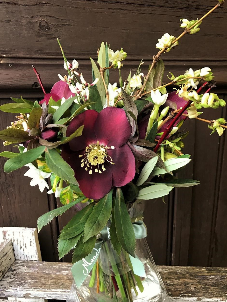 MeadowSweet seasonal posy with Queens red hellebores, winter honeysuckle, broom, viburnum buds, paperwhites, red dogwood, olive and coprosma foliage.