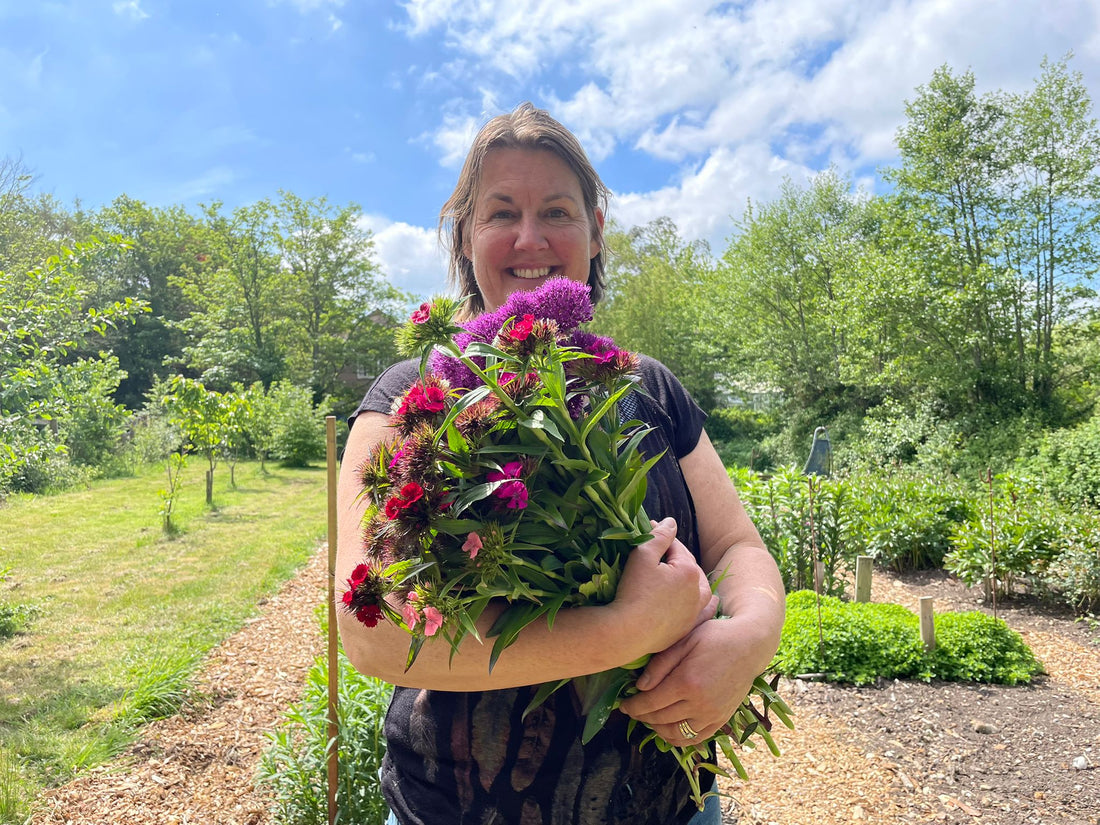 Sophie Townsend from MeadowSweet Posies in her cutting garden with an armful of sweet williams and alliums