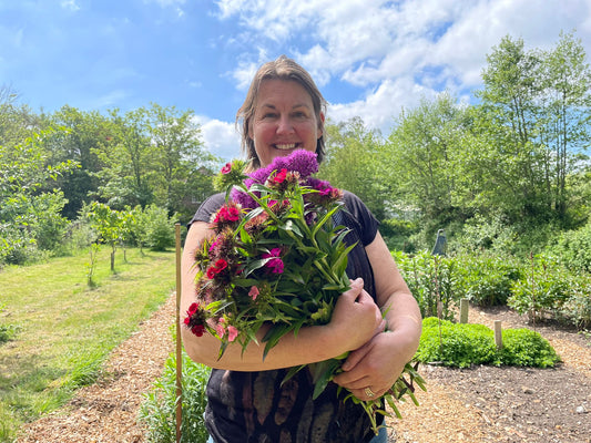 Sophie Townsend from MeadowSweet Posies in her cutting garden with an armful of sweet williams and alliums