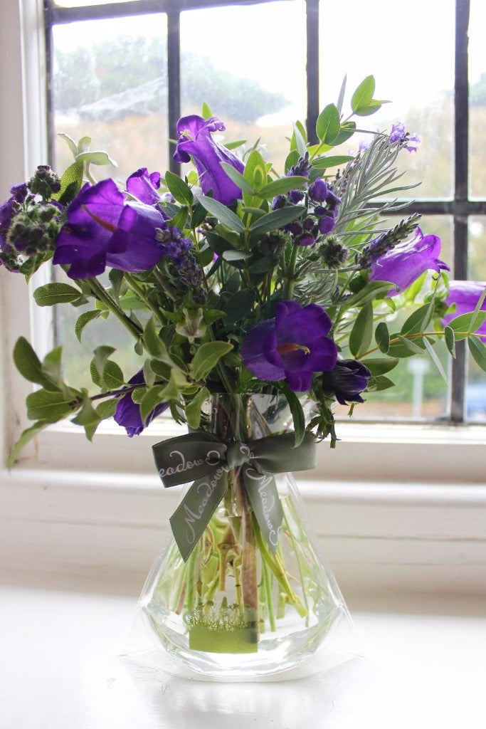 MeadowSweet seasonal posy with British campanula, ageratum, lovely fragrant lavender and anemones alongside pittosporum, eucalyptus, curry plant and helicrysum foliage. 