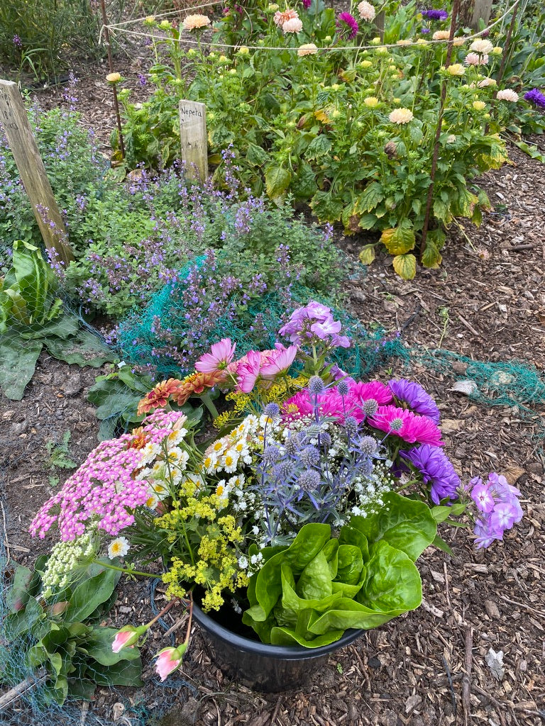 Homegrown colourful flowers in a bucket