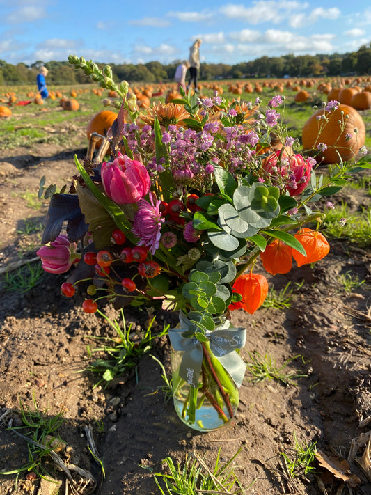 An autumnal seasonal flower posy of British-grown flowers in a glass jar in a pumkin patch 