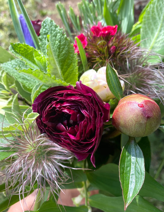 British-grown spring flowers including ranunculus, peony and pasque flower