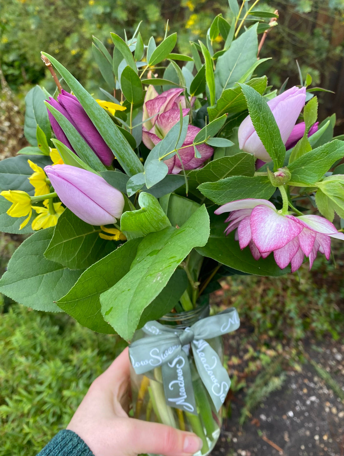 British winter flowers