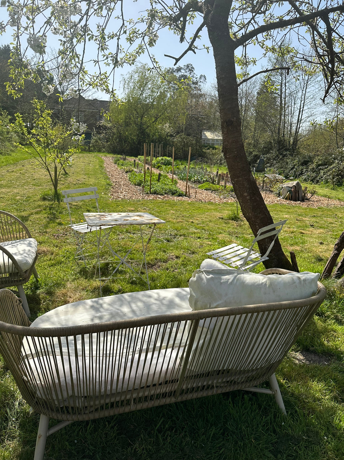 A view of our flower cutting garden in the springtime