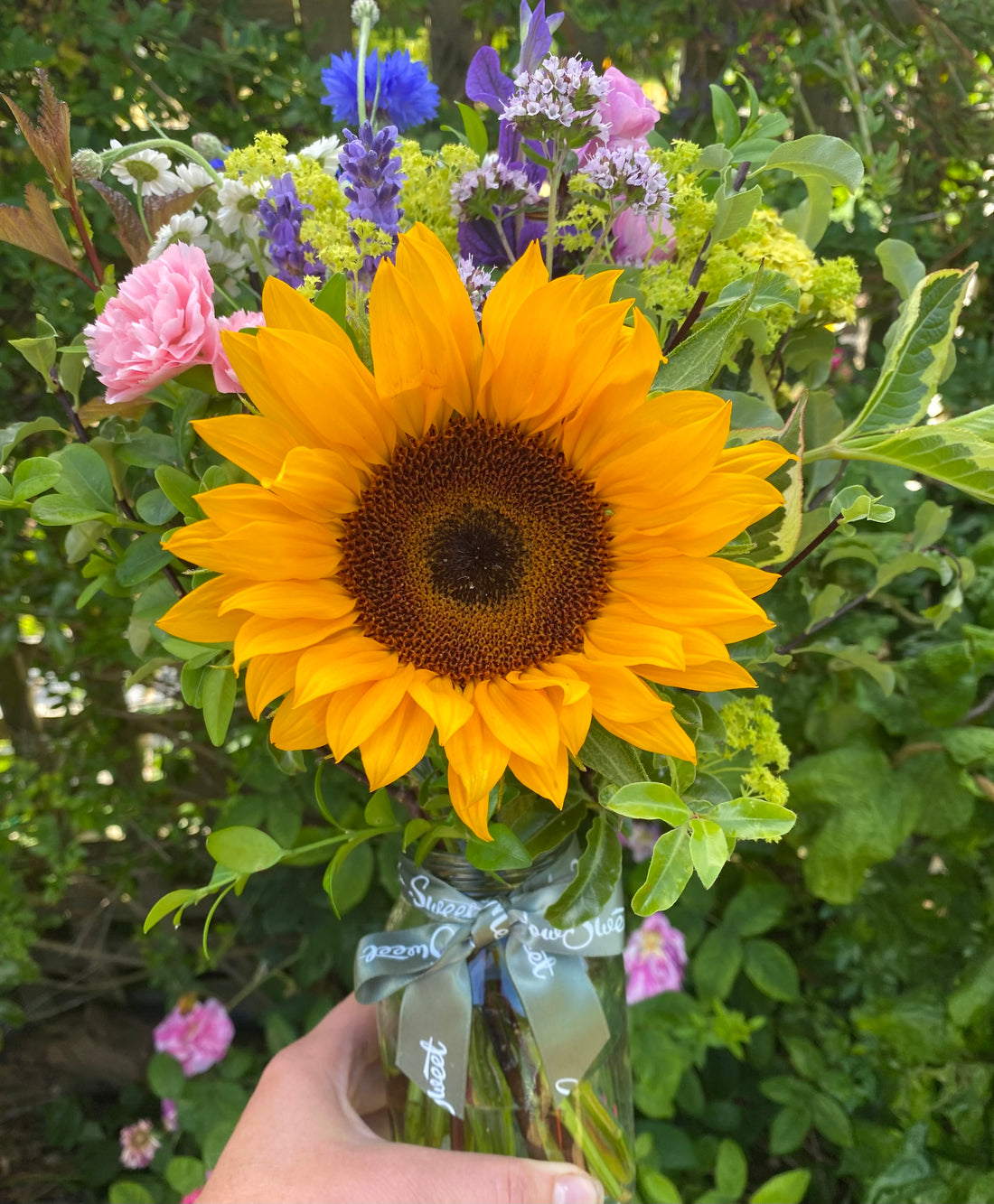 British grown sunflower and homegrown summer flowers for this MeadowSweet subscription posy