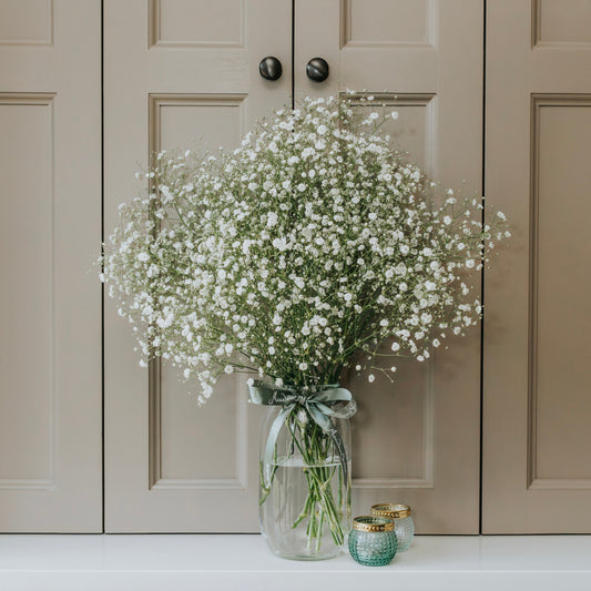 British-grown gypsophila is our Pick Of The Week