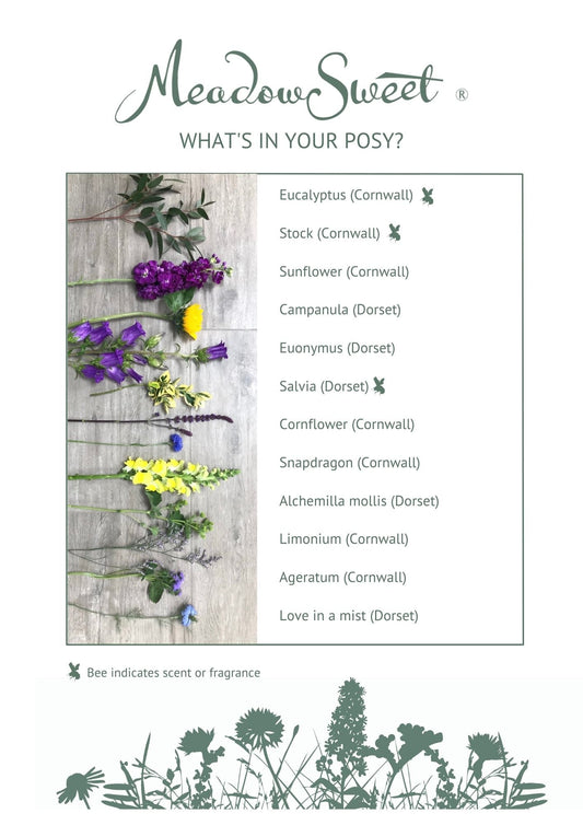 Flower information sheet for posy ingredients