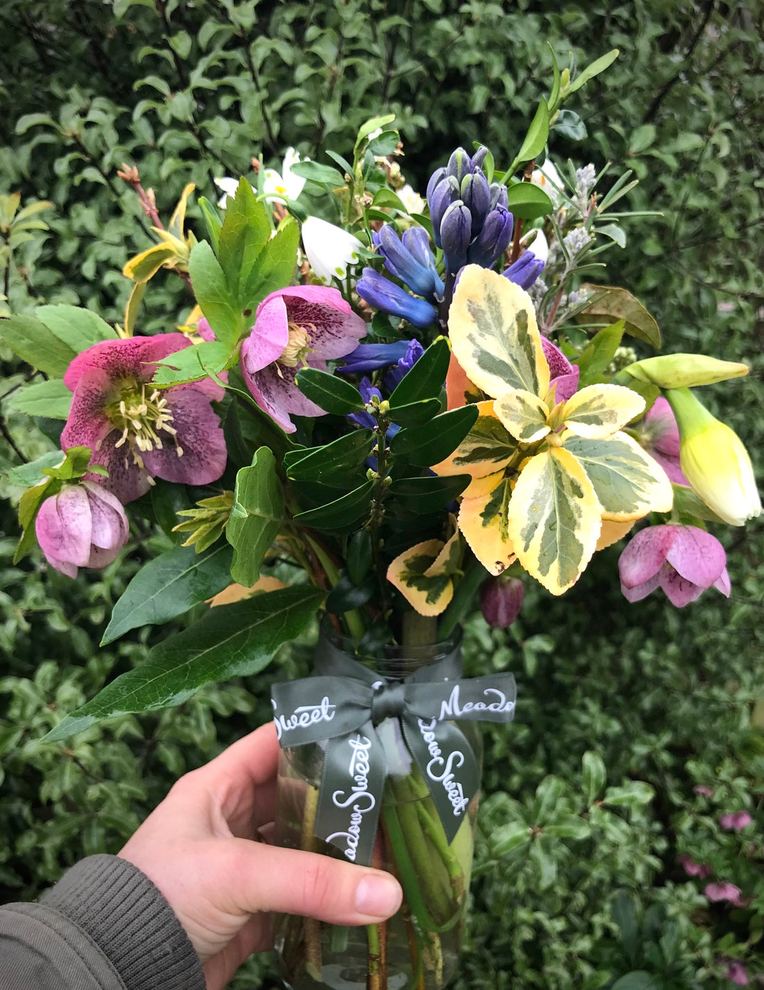 British flower subscription posy featuring homegrown winter flowers