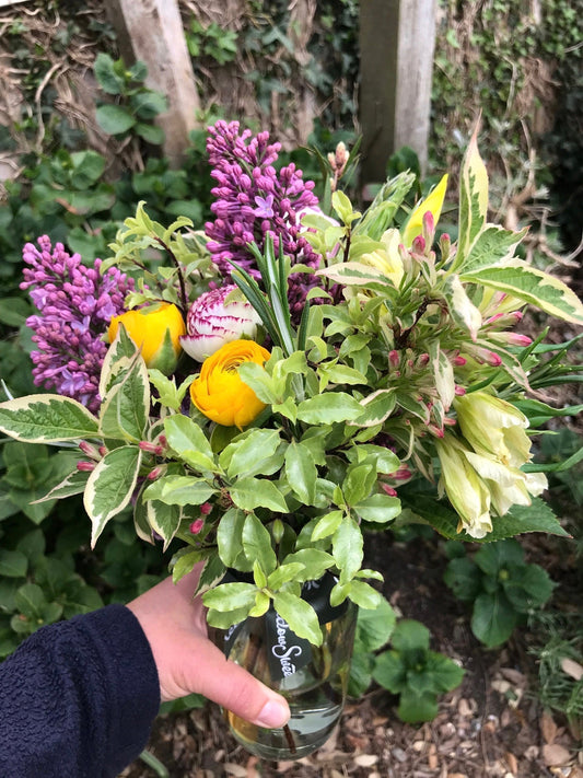 British lilac, weigela, ranunculus flower posy subscription
