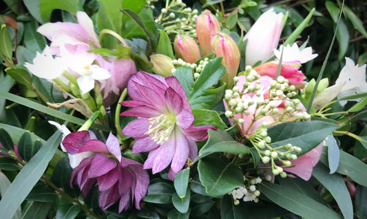British seasonal winter hellebore flowers and foliage in the beautiful hand-arranged MeadowSweet posy