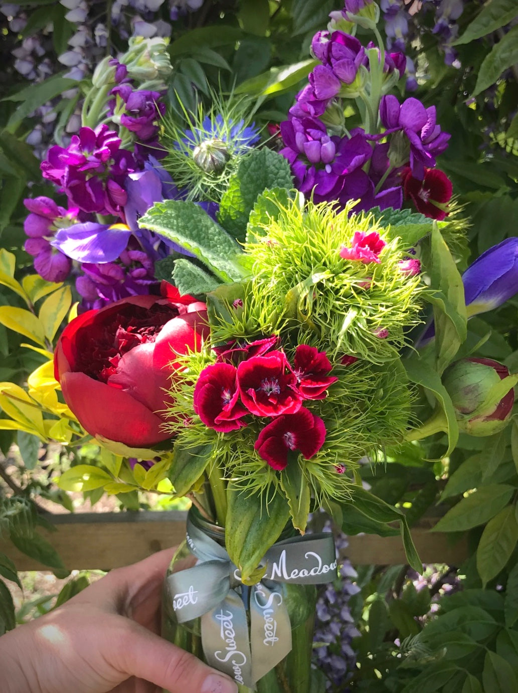 British late Spring flowers including Lincolnshire red charm peonies