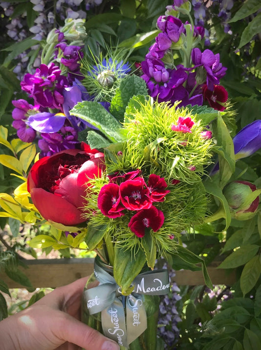 British late Spring flowers including Lincolnshire red charm peonies