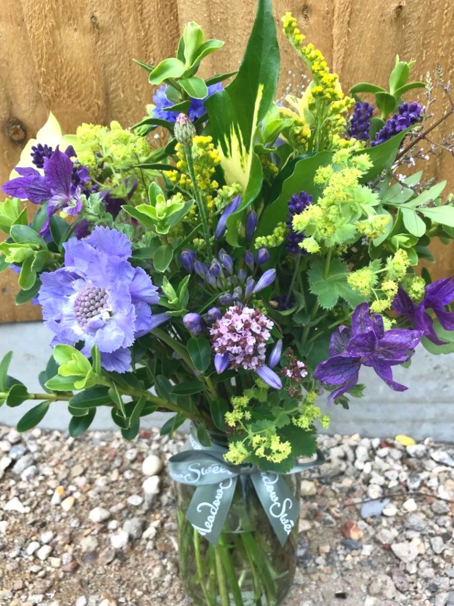 What's commonly known as the pincushion flower?