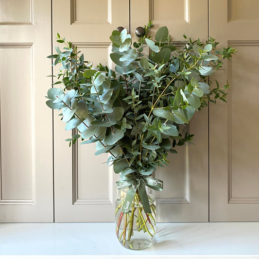 luxury bouquet of British-grown eucalyptus in a large glass jar