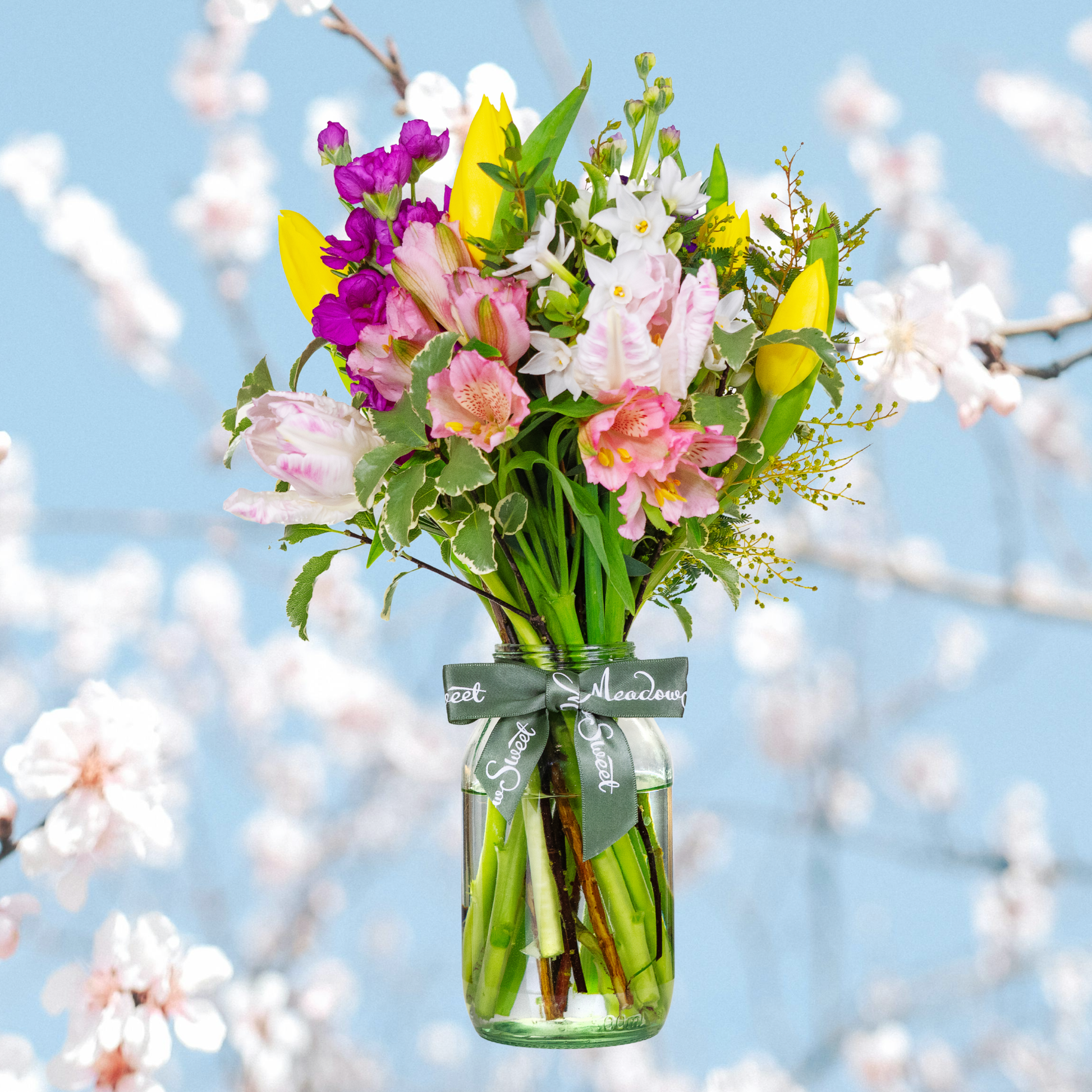 British Spring Flower Posy with tulips and scented stocks In Glass Jar with Blossom backdrop